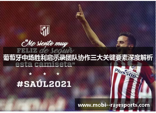 葡萄牙中场胜利启示录团队协作三大关键要素深度解析